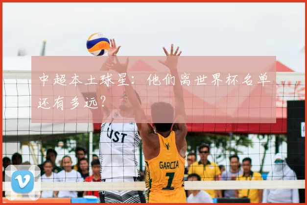 中超本土球星：他们离世界杯名单还有多远？