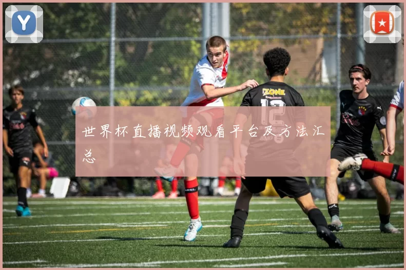 世界杯直播视频观看平台及方法汇总