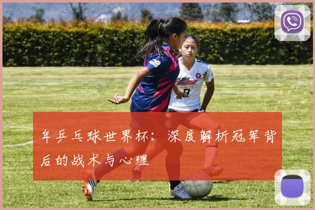 年乒乓球世界杯：深度解析冠军背后的战术与心理