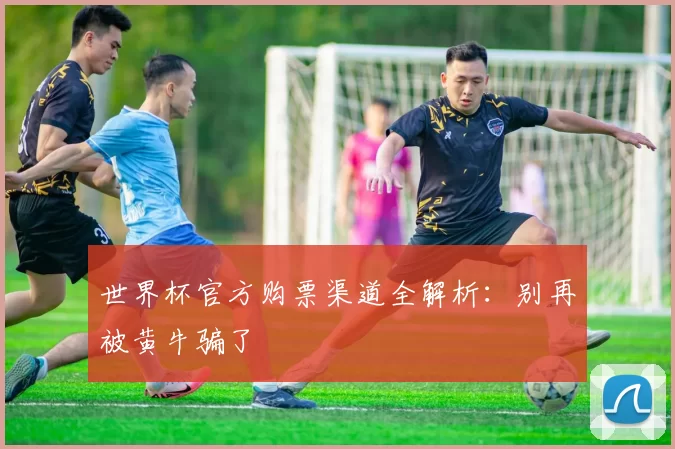 世界杯官方购票渠道全解析:别再被黄牛骗了