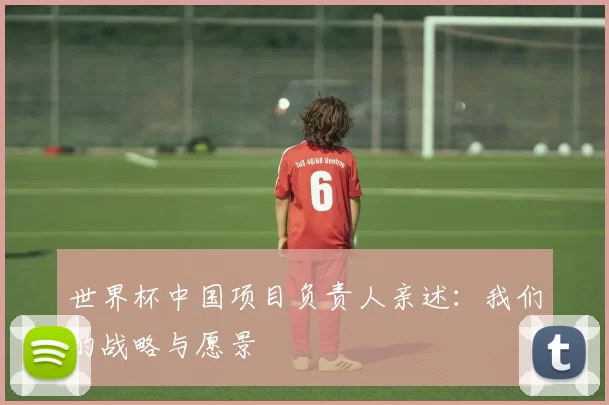 世界杯中国项目负责人亲述:我们的战略与愿景