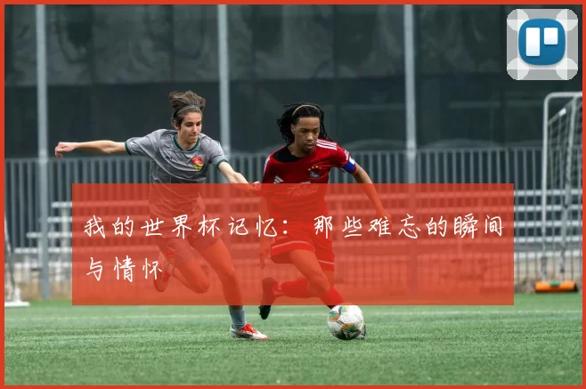 我的世界杯记忆:那些难忘的瞬间与情怀