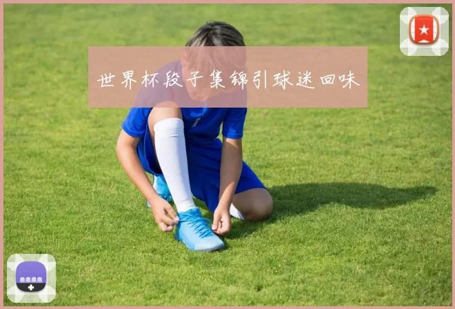 世界杯段子集锦引球迷回味