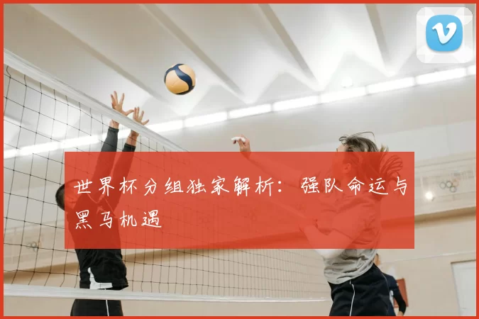 世界杯分组独家解析:强队命运与黑马机遇