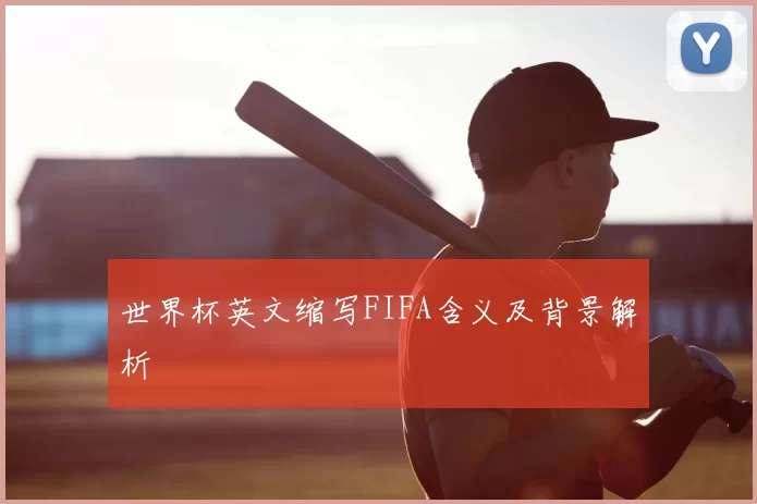 世界杯英文缩写FIFA含义及背景解析