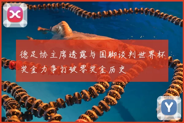 德足协主席透露与国脚谈判世界杯奖金力争打破零奖金历史