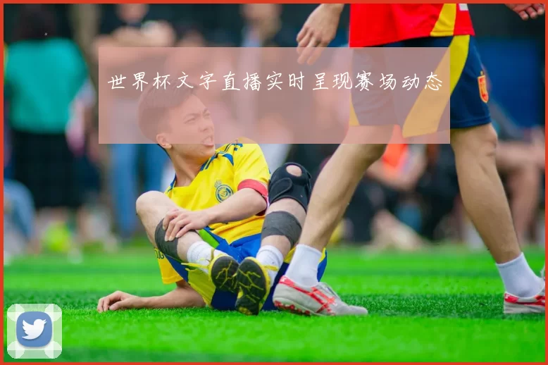 世界杯文字直播实时呈现赛场动态