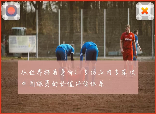 从世界杯看身价:专访业内专家谈中国球员的价值评估体系