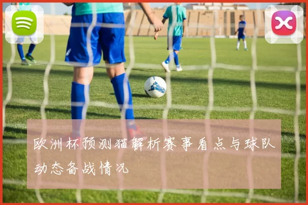 欧洲杯预测猫解析赛事看点与球队动态备战情况