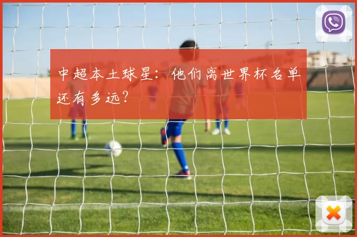 中超本土球星：他们离世界杯名单还有多远？