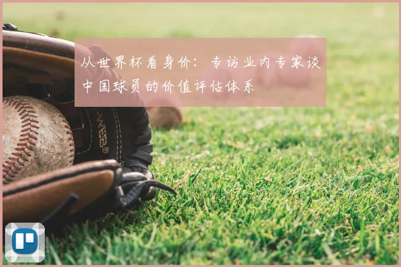 从世界杯看身价：专访业内专家谈中国球员的价值评估体系